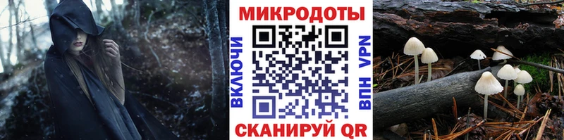 Псилоцибиновые грибы MAGIC MUSHROOMS Карасук