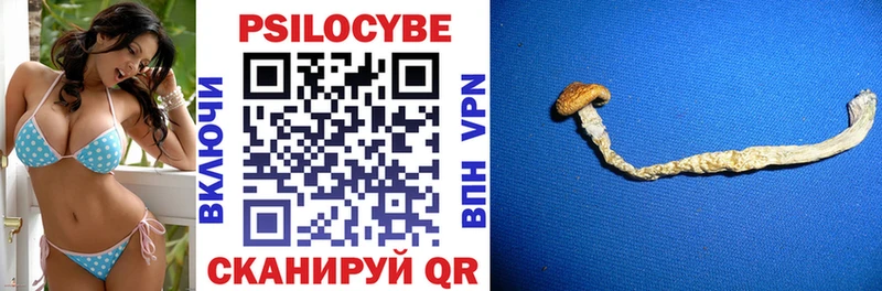Галлюциногенные грибы Cubensis Карасук