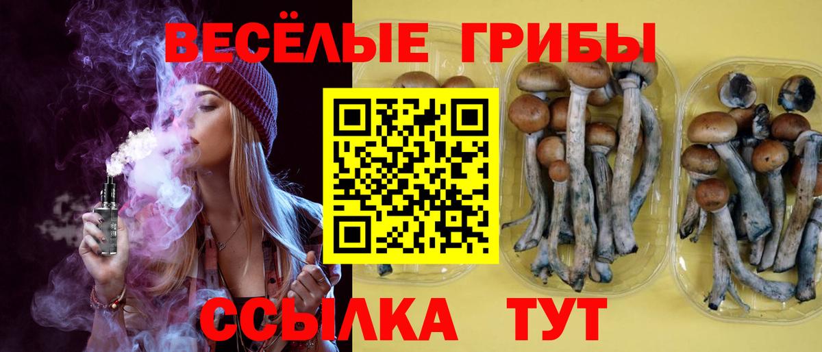 Псилоцибиновые грибы MAGIC MUSHROOMS  Вход с VPN  Карасук 