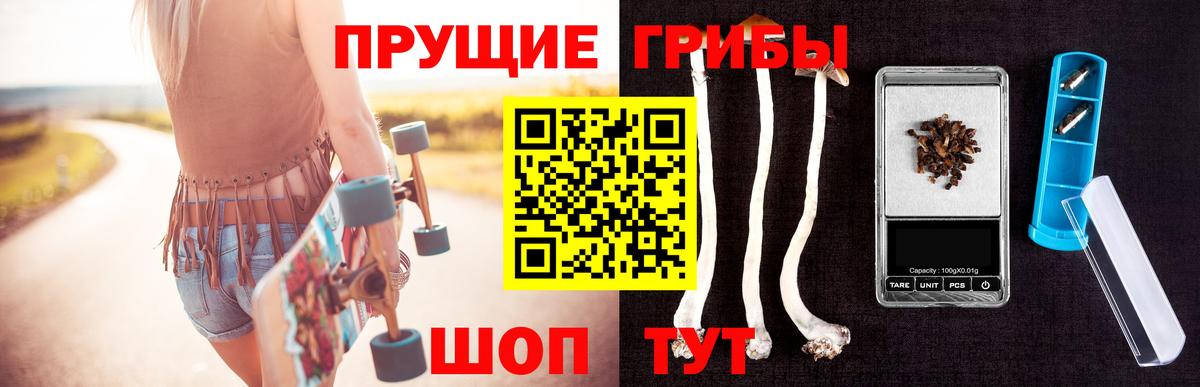 Псилоцибиновые грибы Cubensis Карасук