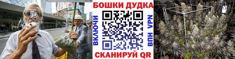 сколько стоит  hydra ССЫЛКА  Бошки марихуана Ganja  Карасук 